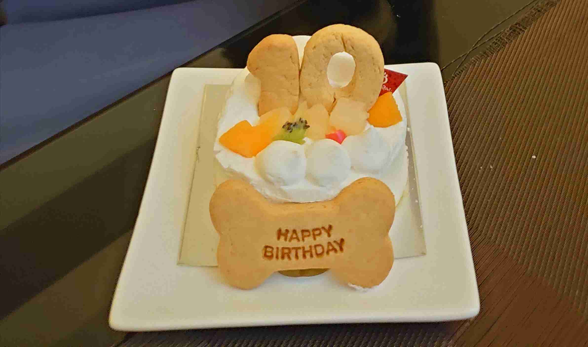 犬猫用のクリスマスケーキ・おせち買いますか？