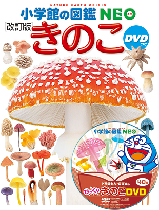 集え！岡田あーみんファン
