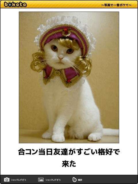 動物のboketeを貼るトピpart6