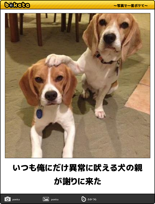 動物のboketeを貼るトピpart6