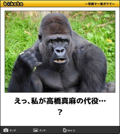 動物のboketeを貼るトピpart6
