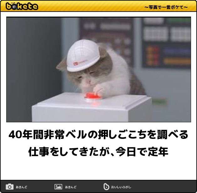 動物のboketeを貼るトピpart6