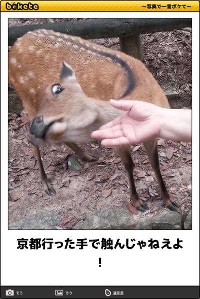 動物のboketeを貼るトピpart6