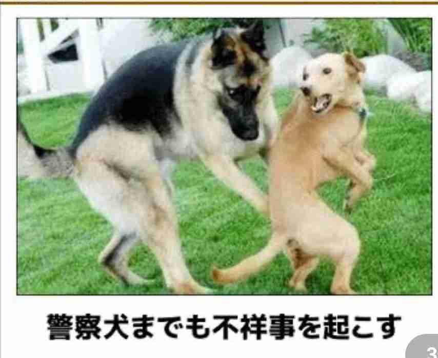 動物のboketeを貼るトピpart6