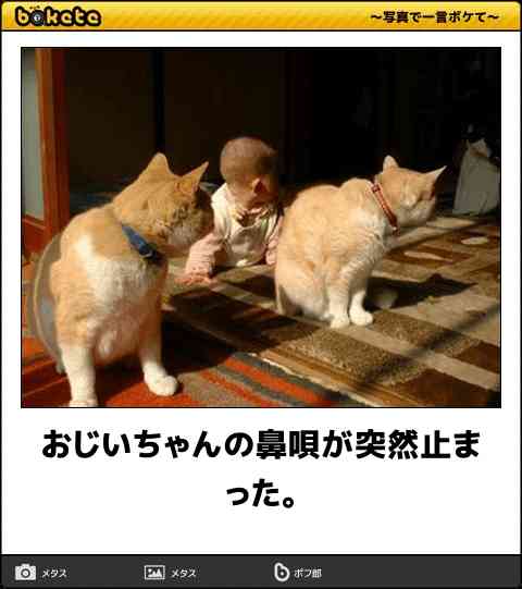 動物のboketeを貼るトピpart6