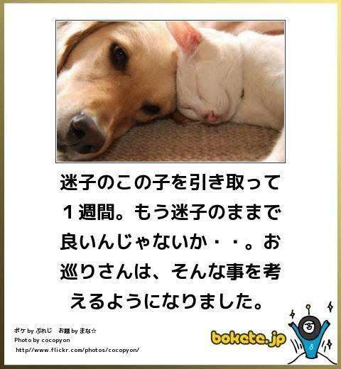 動物のboketeを貼るトピpart6