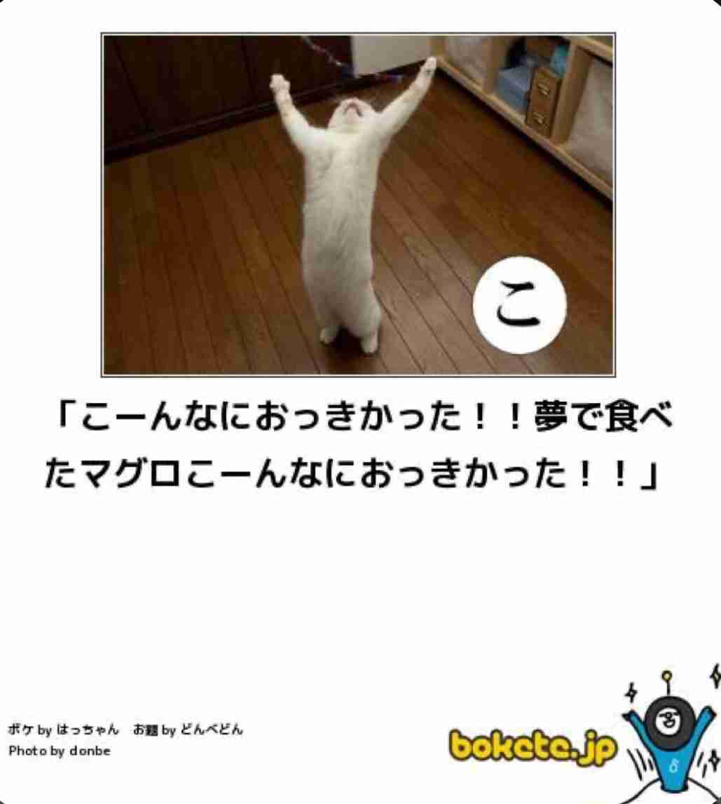 動物のboketeを貼るトピpart6