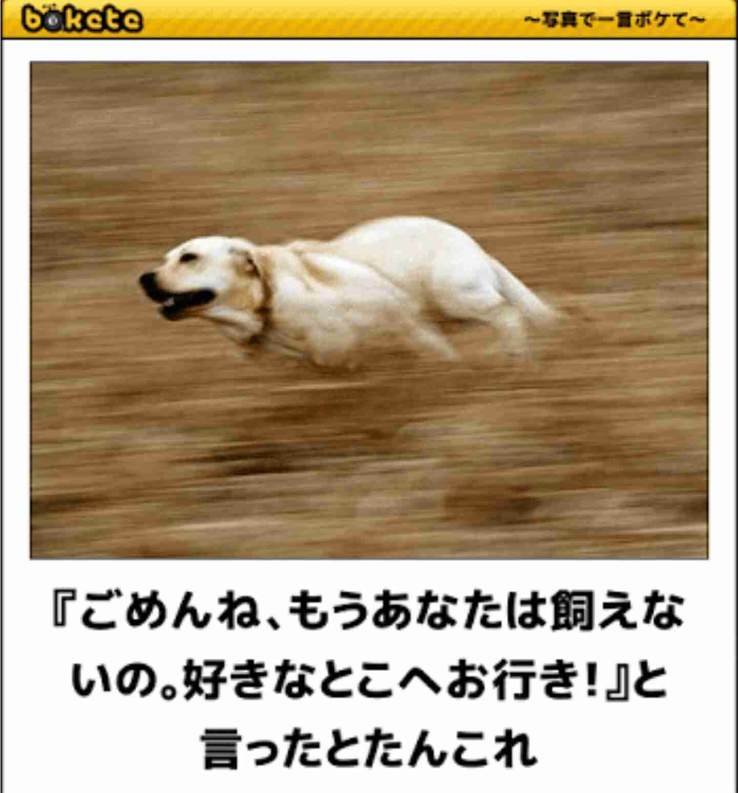 動物のboketeを貼るトピpart6