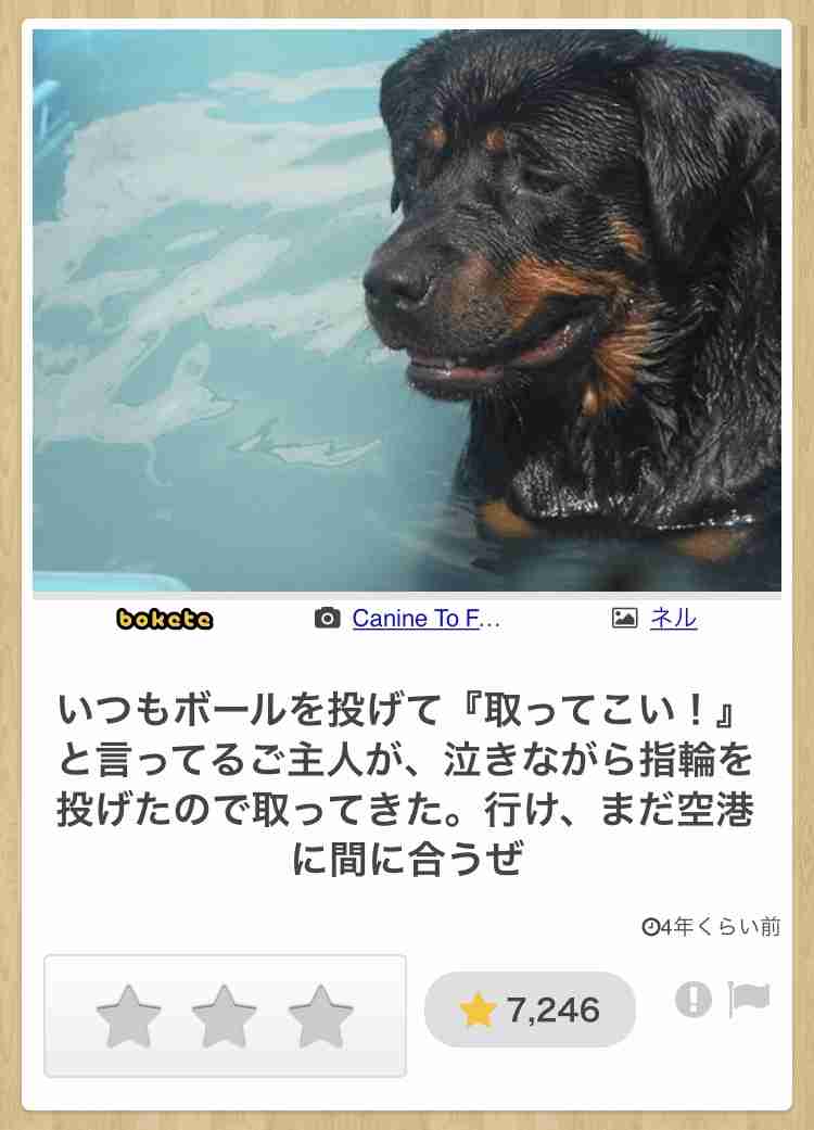 動物のboketeを貼るトピpart6