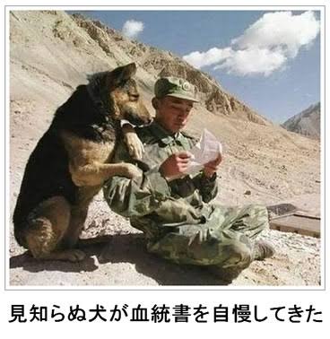 動物のboketeを貼るトピpart6