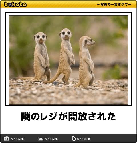動物のboketeを貼るトピpart6