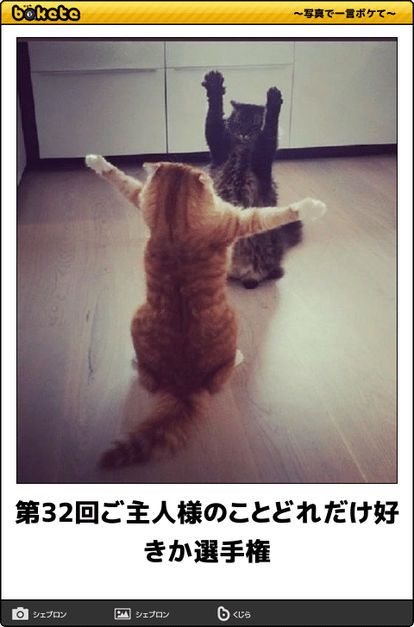 動物のboketeを貼るトピpart6