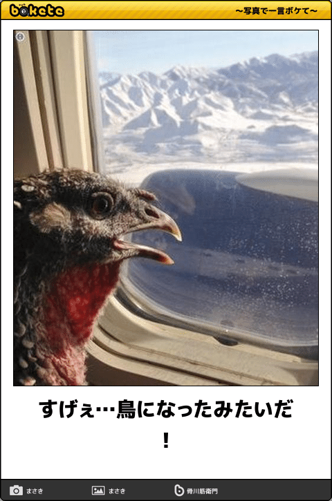 動物のboketeを貼るトピpart6