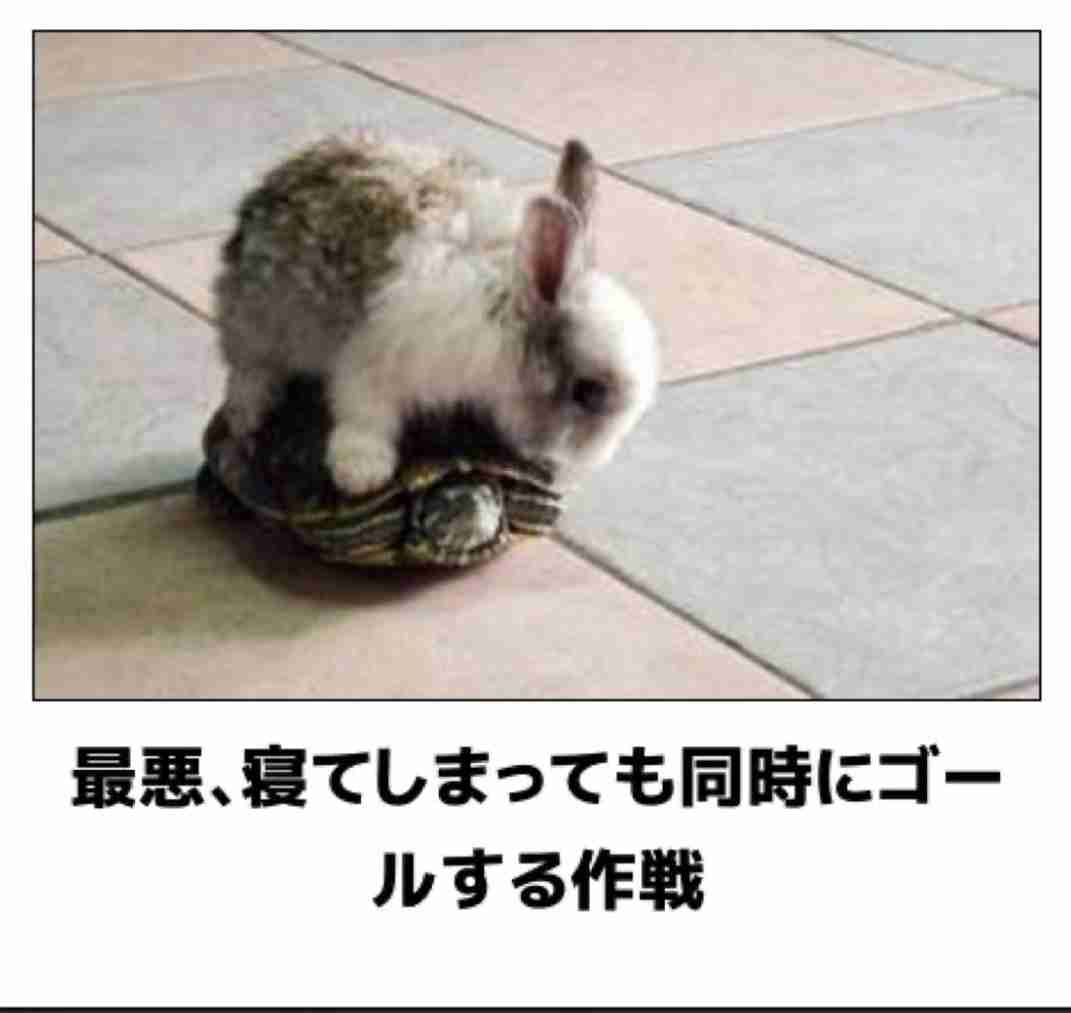 動物のboketeを貼るトピpart6