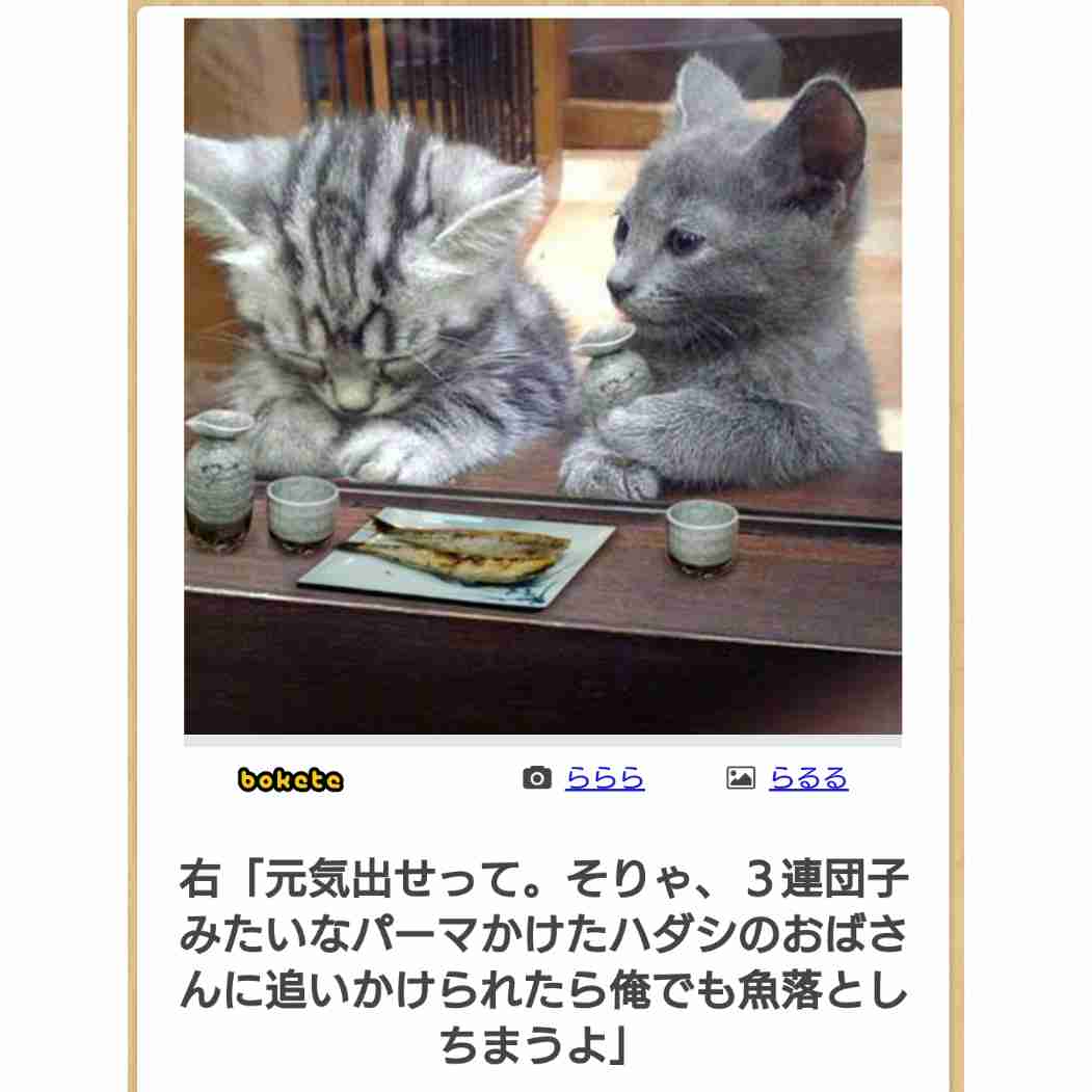 動物のboketeを貼るトピpart6