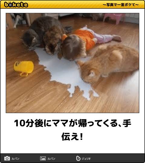動物のboketeを貼るトピpart6