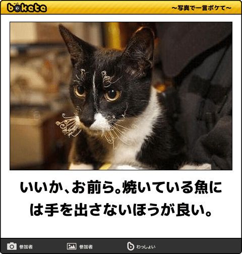動物のboketeを貼るトピpart6