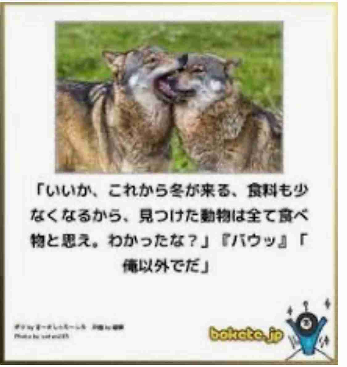 動物のboketeを貼るトピpart6