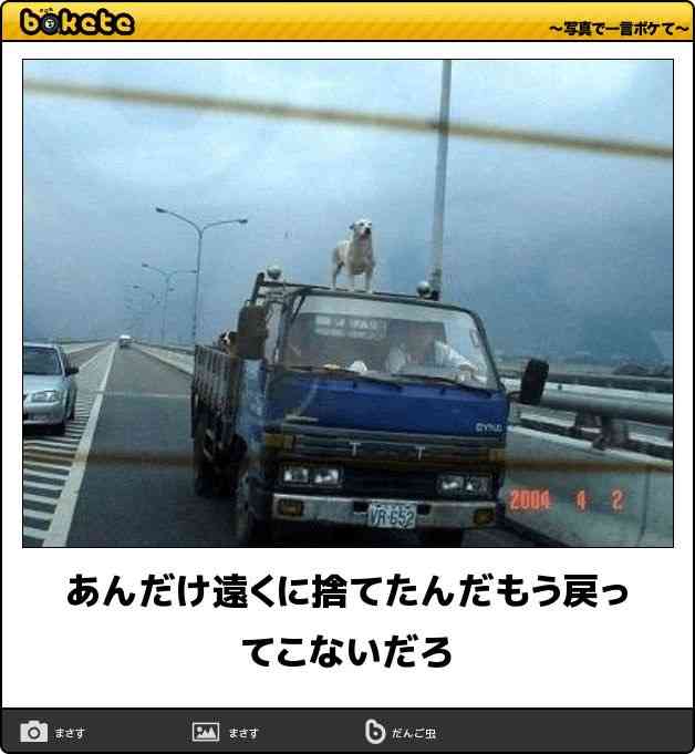 動物のboketeを貼るトピpart6