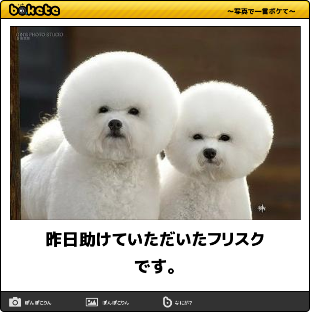 動物のboketeを貼るトピpart6