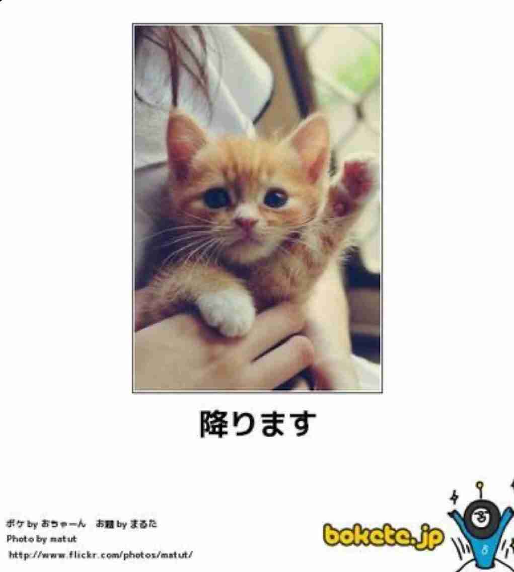 動物のboketeを貼るトピpart6