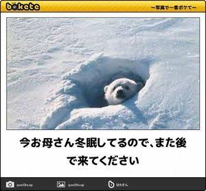 動物のboketeを貼るトピpart6