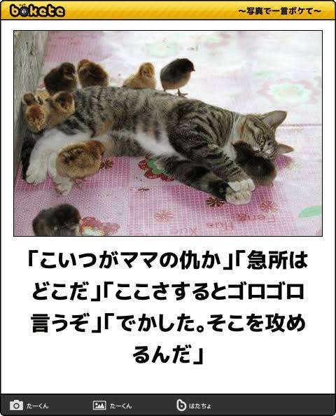 動物のboketeを貼るトピpart6
