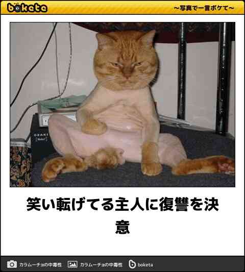 動物のboketeを貼るトピpart6