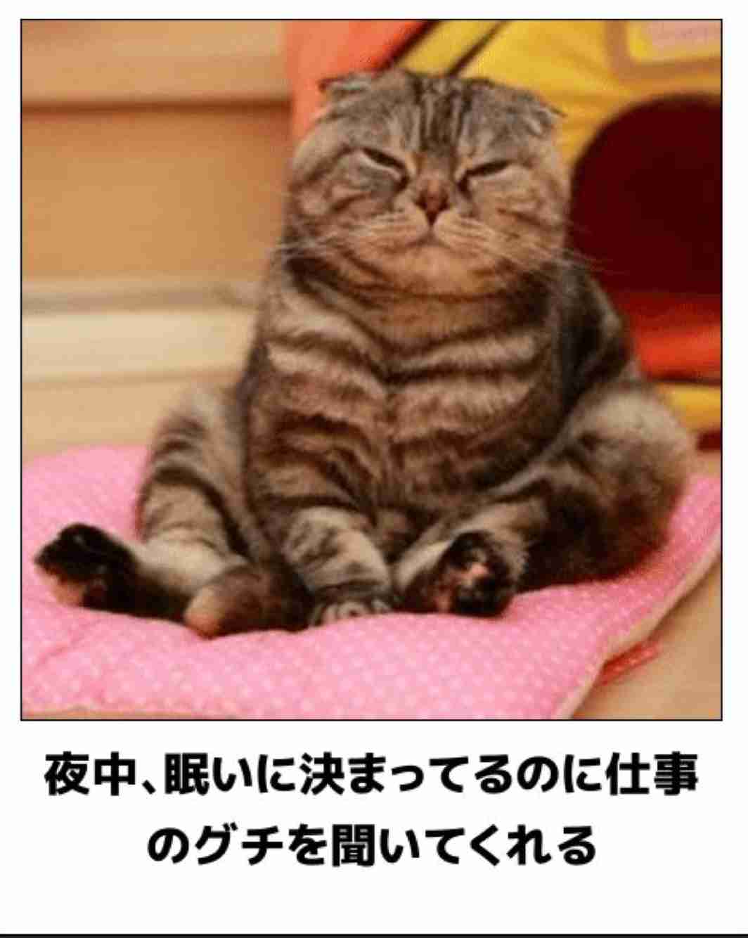 動物のboketeを貼るトピpart6