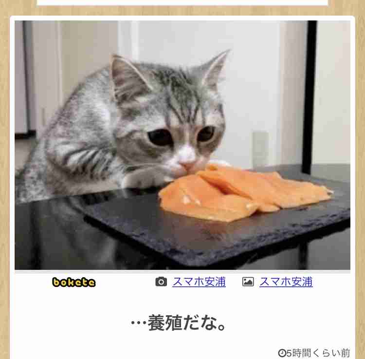 動物のboketeを貼るトピpart6