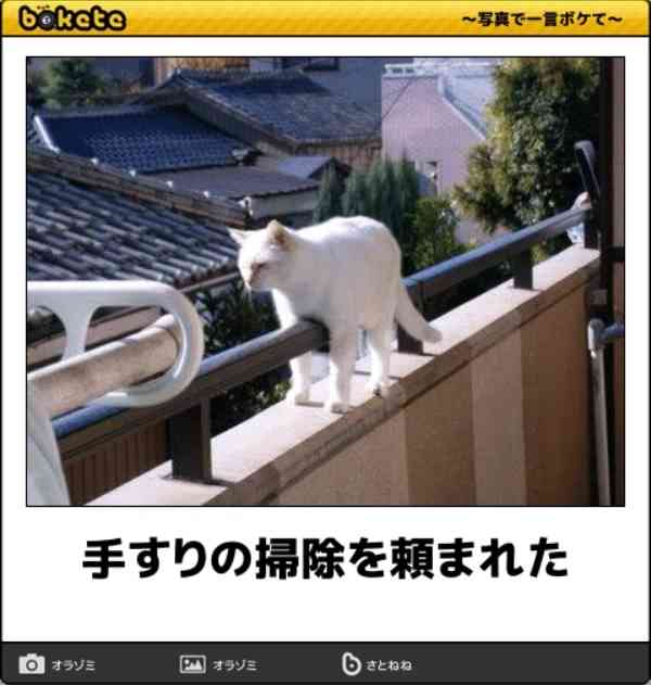 動物のboketeを貼るトピpart6