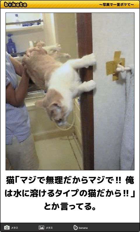 動物のboketeを貼るトピpart6