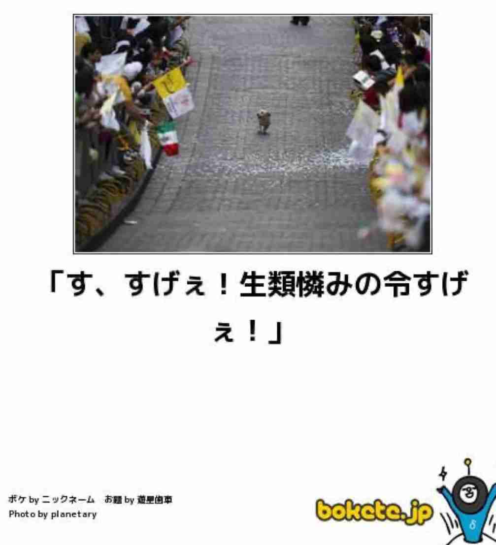 動物のboketeを貼るトピpart6