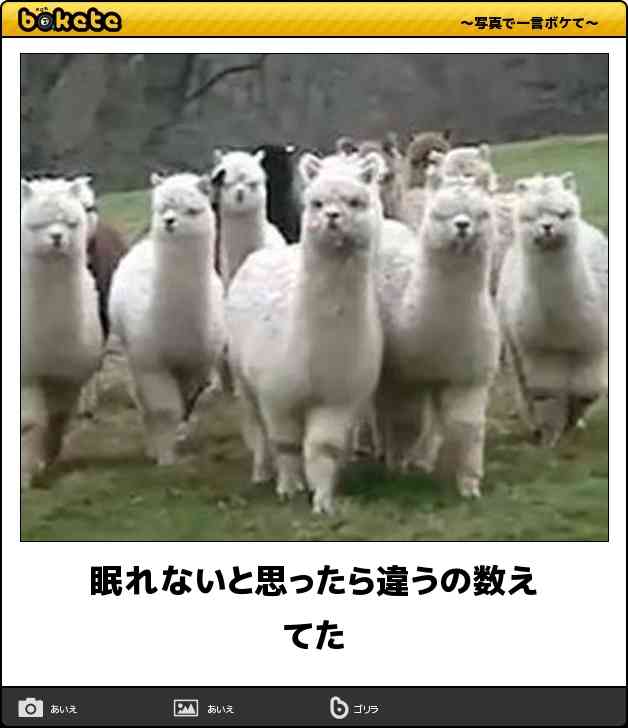 動物のboketeを貼るトピpart6