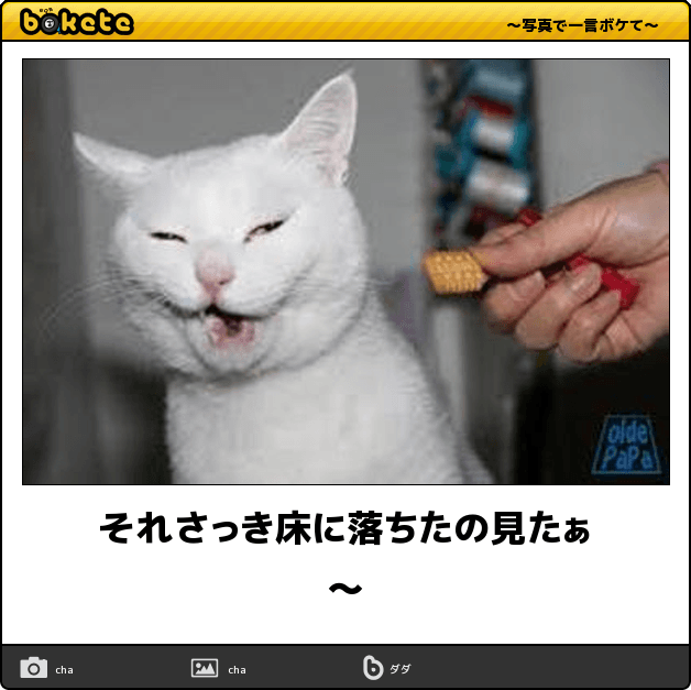 動物のboketeを貼るトピpart6
