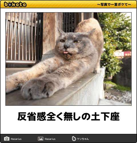 動物のboketeを貼るトピpart6