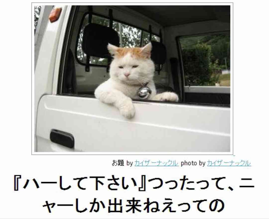 動物のboketeを貼るトピpart6