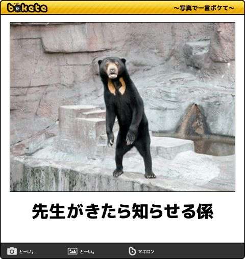 動物のboketeを貼るトピpart6