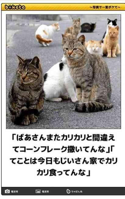 動物のboketeを貼るトピpart6