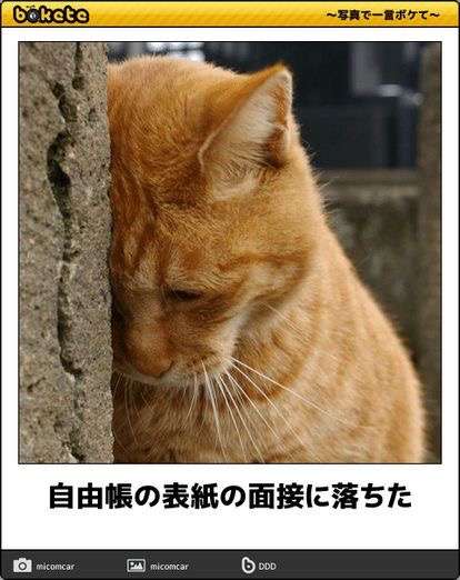 動物のboketeを貼るトピpart6