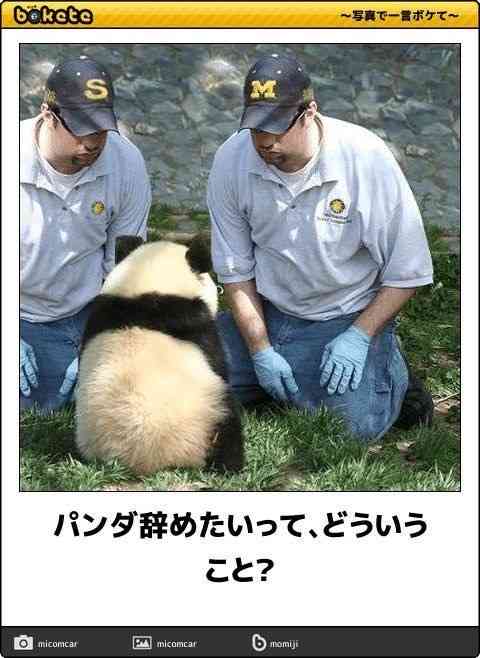 動物のboketeを貼るトピpart6