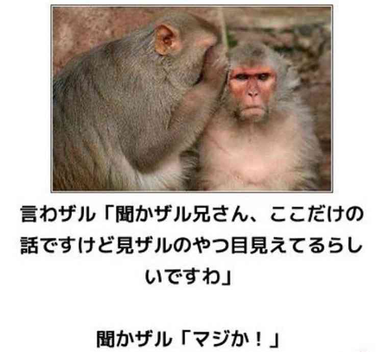 動物のboketeを貼るトピpart6
