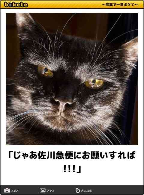 動物のboketeを貼るトピpart6