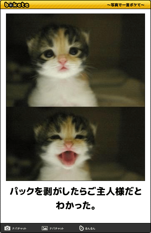 動物のboketeを貼るトピpart6