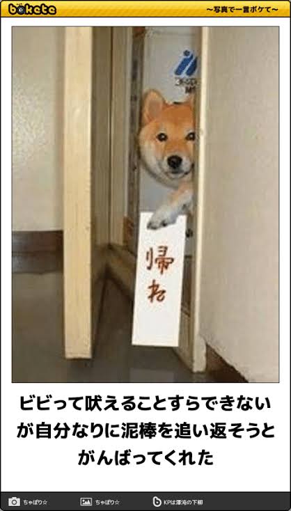動物のboketeを貼るトピpart6