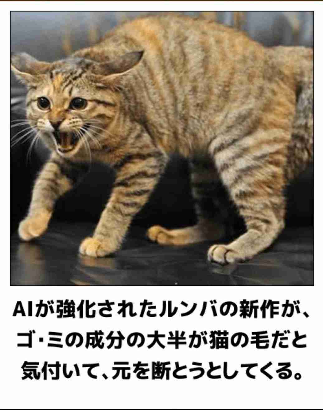 動物のboketeを貼るトピpart6
