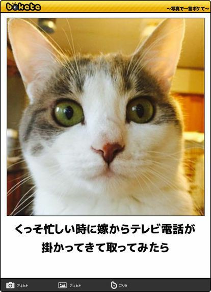 動物のboketeを貼るトピpart6