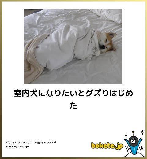 動物のboketeを貼るトピpart6