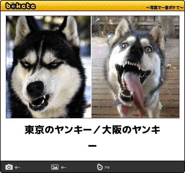 動物のboketeを貼るトピpart6