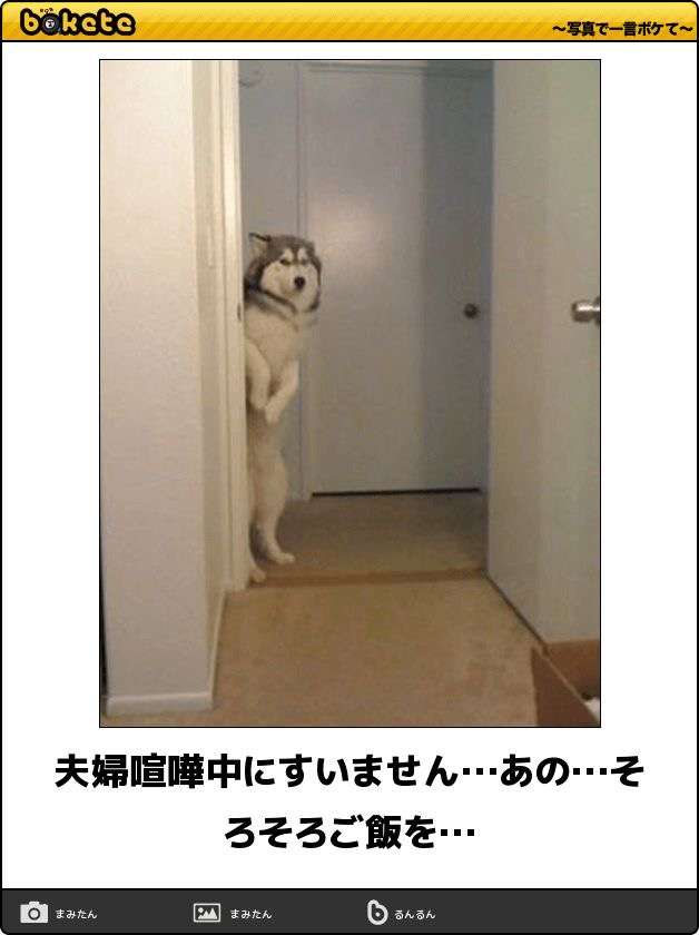 動物のboketeを貼るトピpart6